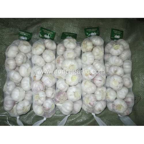 Top Quality Crop 2020 Normal Garlic
